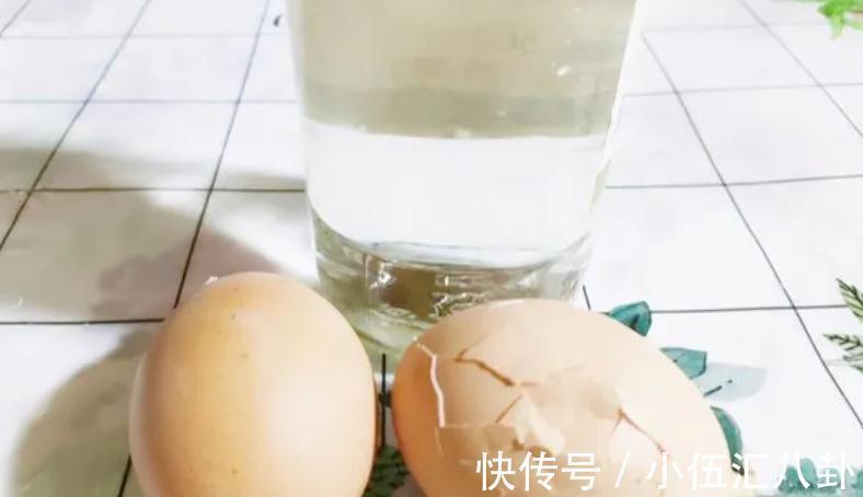 白醋|怎么用鸡蛋壳养花?掌握住注意事项,不花钱就养啥都不缺肥