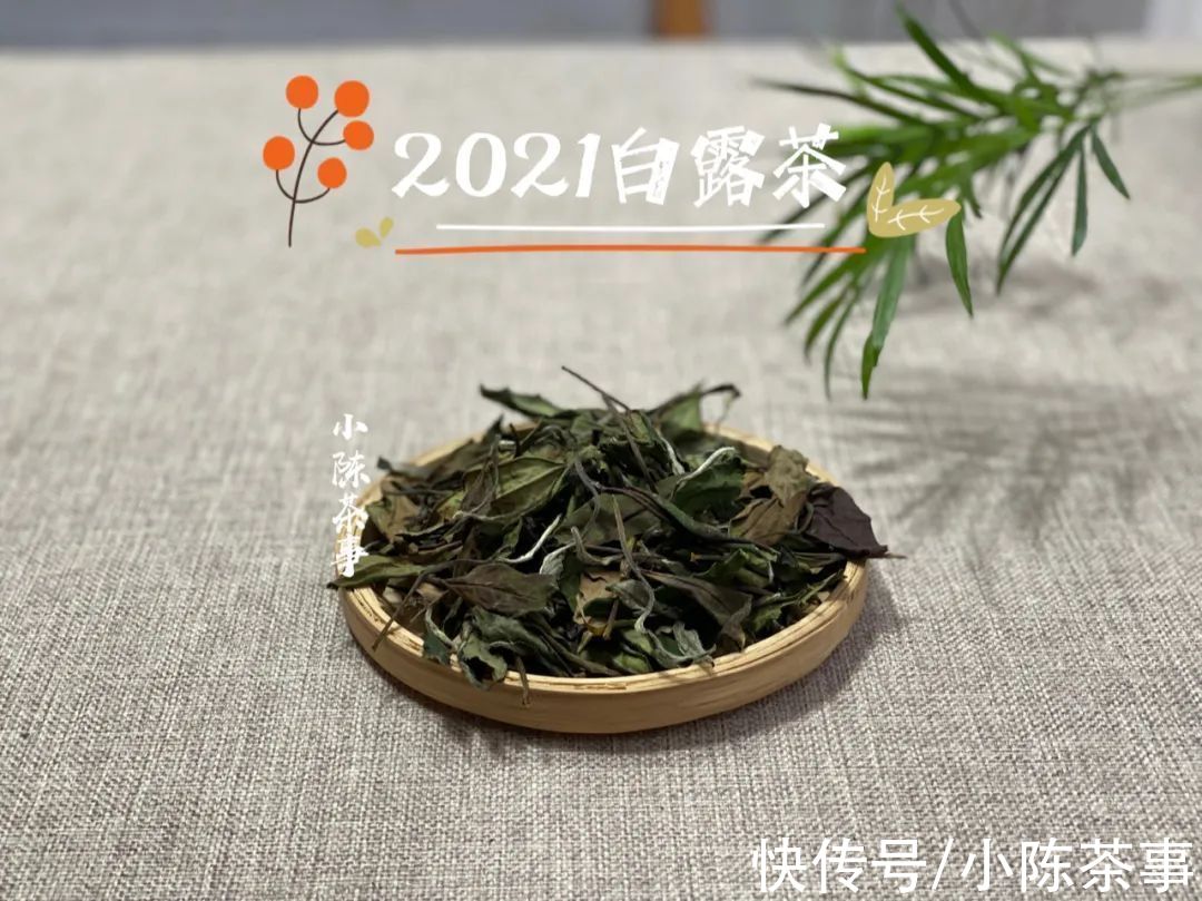 白露节@都是秋白茶，寒露茶与白露茶如何分辨？4个角度带你理清层层迷雾