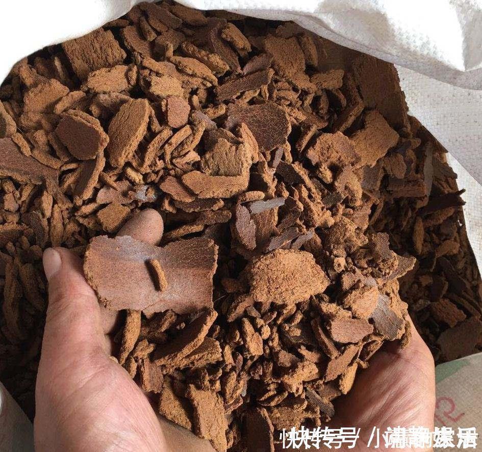 家里有这3种东西不要扔,你以为是垃圾,可它们是植物最好的肥料