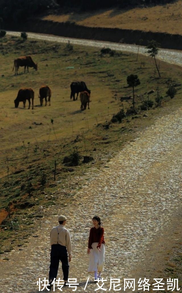 嘲笑|晚唐诗人的一首怀古诗,嘲笑秦始皇焚书,更深的绝望却在等着他
