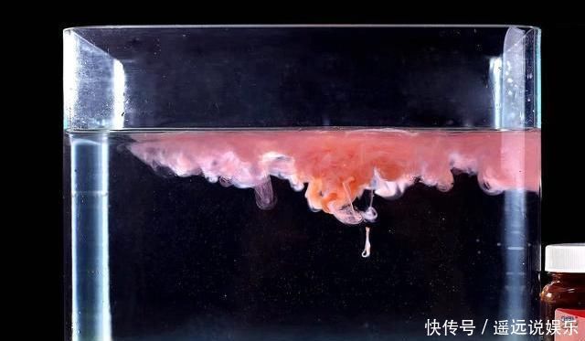 饵料和小药都有“建议用量”这看似合理配饵，却有3大致命弊端