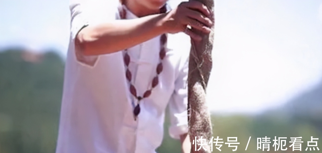 印度通天绳|印度通天绳有多神秘:爬上绳子的小孩去哪里了?可能是障眼法吗?