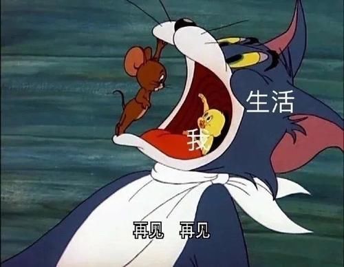 彩妆｜当初爱它到不行，如今一说就来气？