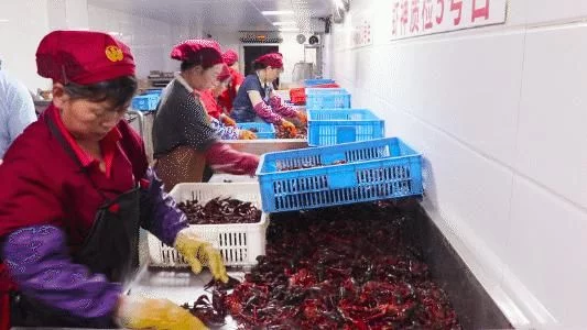一看生死，死虾不要；二看底板，底板发黑，品相不佳不要；三看大小，按照大小进行分类分级。然后再将分级后的小龙虾洗刷，送至烹饪间。炉火旺，油锅起，小龙虾下锅……三五工序，一盘香气满满的小龙虾就烧制好了。