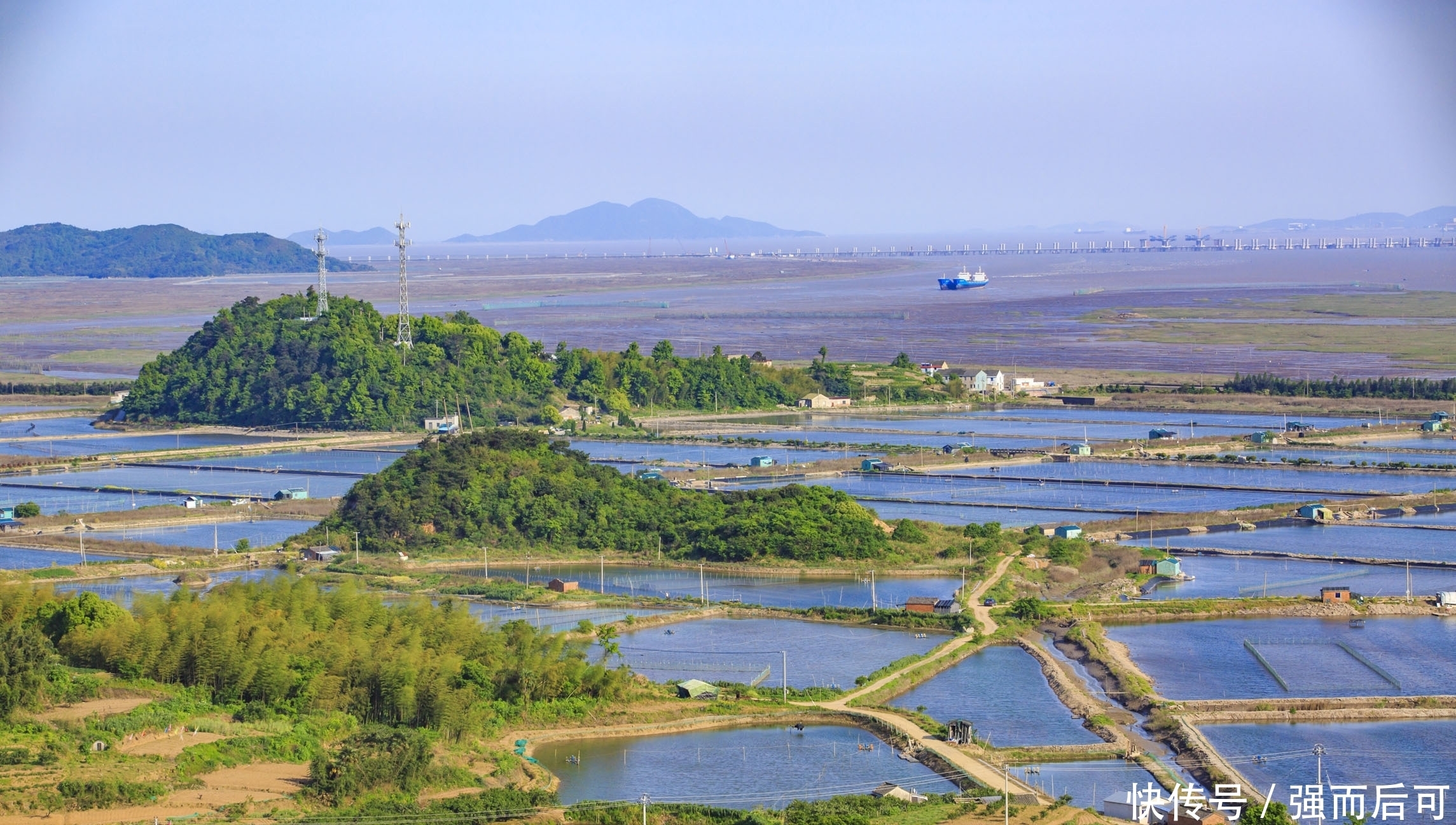 有感|心田播种希望好,学海巡游鼓浪宽。十一月一日有感,清吟一首