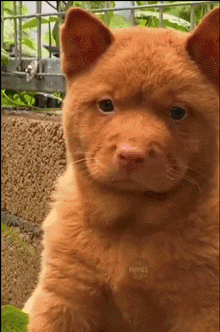 |「被窝段子20210727」生活没有低谷,只有蓄势待发