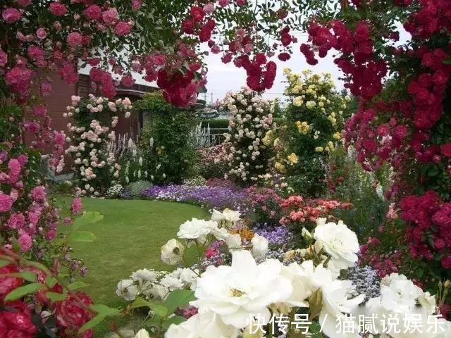 这9种花园，随便1个都美上天了，有一种这辈子就满足了！