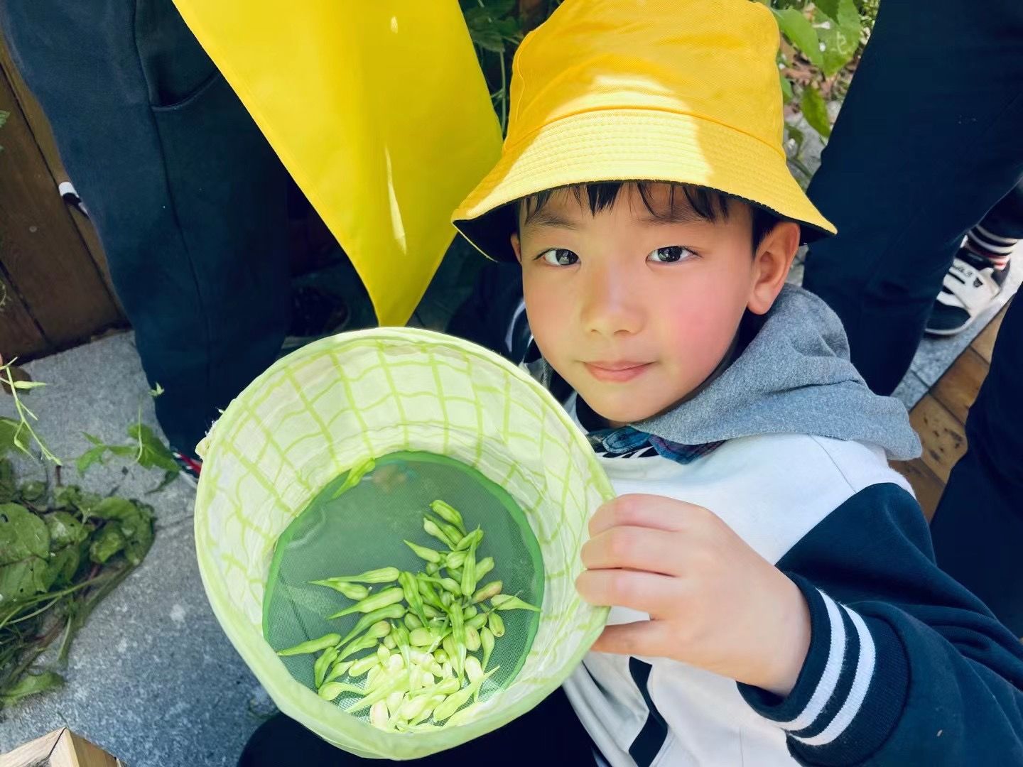 幼儿们|与晨检机器人互动，读懂手环数据，上海推动学前教育数字化转型呵护“最柔软群体”