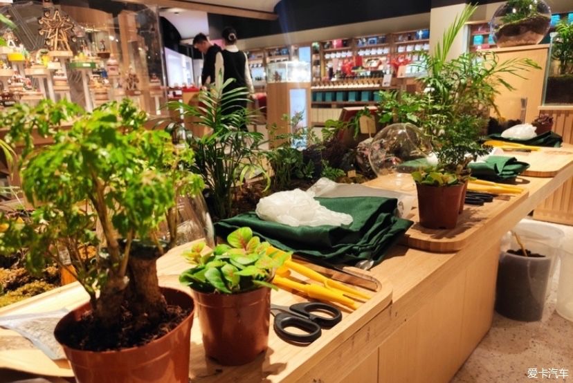 冬天的峨眉一个童话般的冰雪世界，真是美不胜收