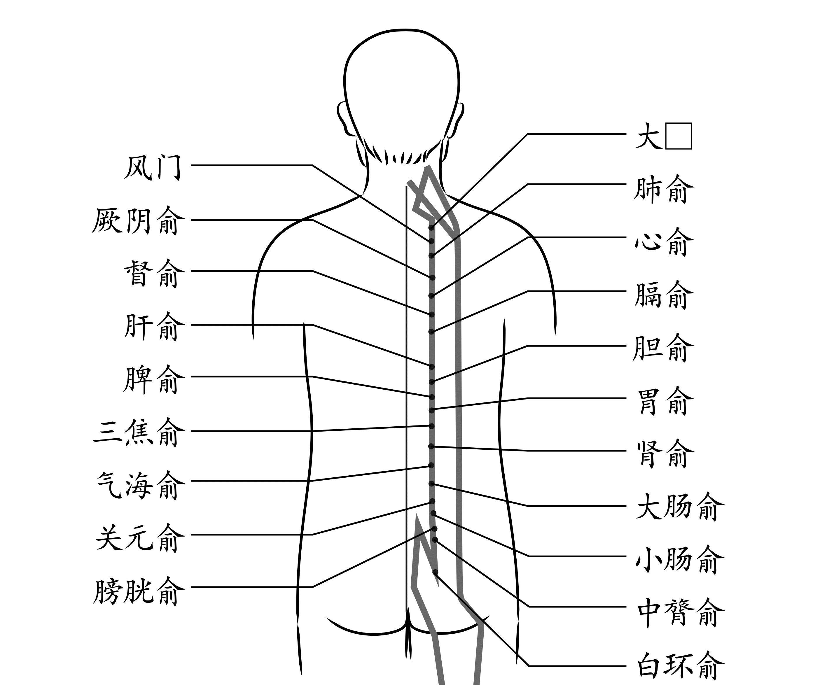 穴位|快到三伏天了，恰好是养生的好时间，说说“冬病夏治”！