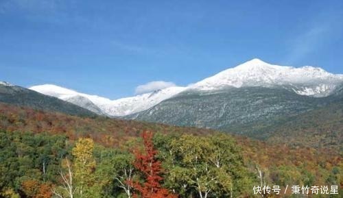 西方人|中国人参价格被炒到黄金之上,西方人乐坏了:我们那遍地都是