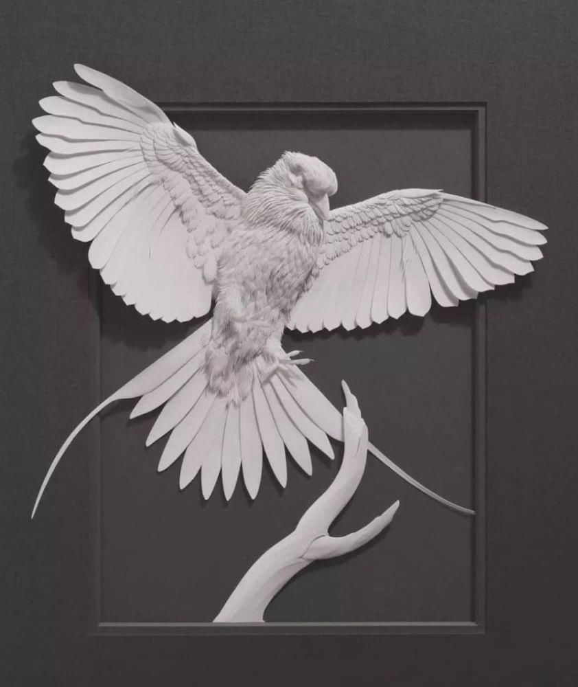 作品|意大利艺术家 Calvin Nicholls 纸雕作品