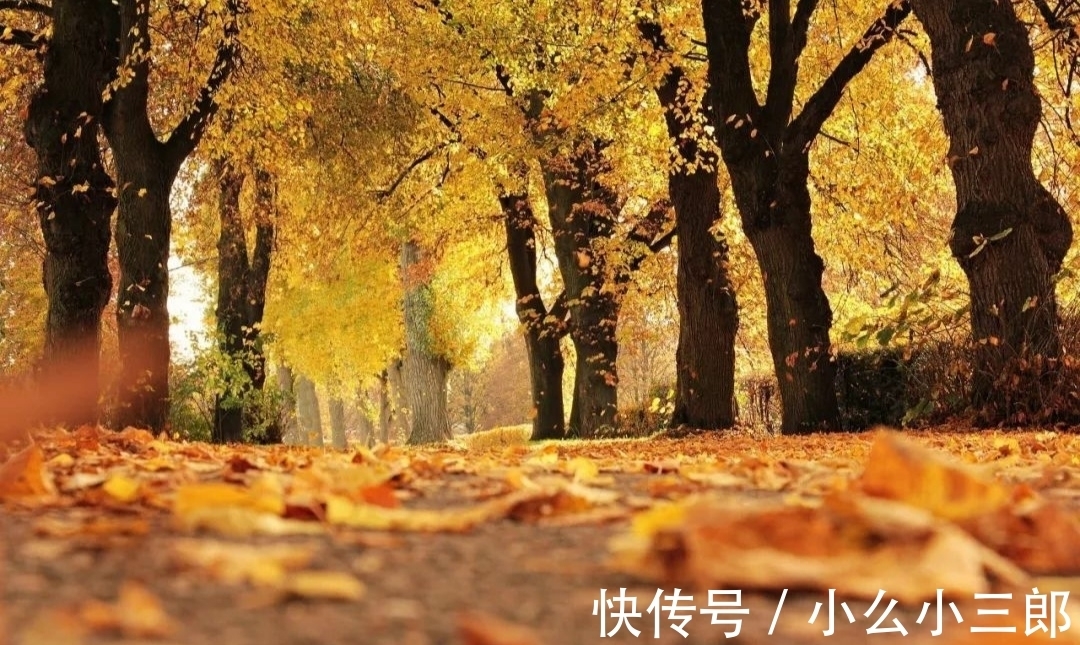 别元九后咏所怀!白居易怀念友情的一首诗,令人感觉无知音的日子是那么失落难过