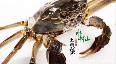 中国最好吃的6家大闸蟹,阳澄湖居然只排第3,前两名你吃过没