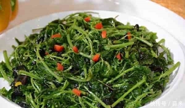 解百毒|大山里特有的野菜，不僅好吃，還有“解百毒”之稱，很多人沒見過