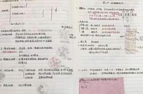 学习|真正的学霸，都会有这4种学习工具，学渣一般都没有