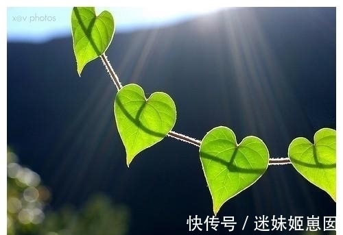 必然|6分钟读完《必然》:如何在日新月异的世界,找到发展的趋势