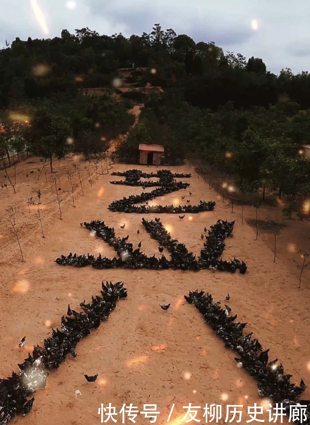 c为了鼓励张艺兴掏鸡蛋,网友们各出奇招为其打call