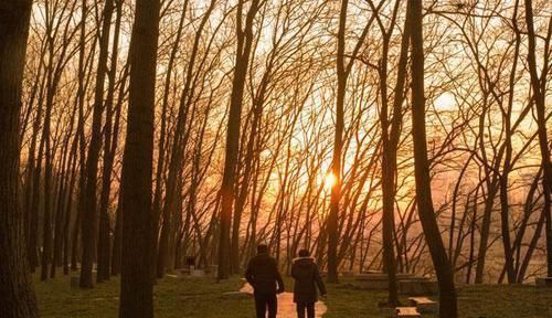 锻炼身体|骨科大夫：不论男女，50岁后，3项运动不宜多做，太毁膝盖