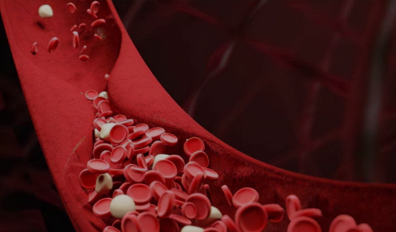 腐竹|血脂高的人要远离豆腐?医生:不止豆腐,这3种素食也尽量少碰