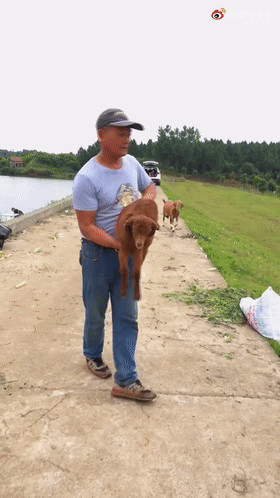 中国钓鱼运动协会|“邓刚钓鱼”,流量解密当代男性终极休闲爱好