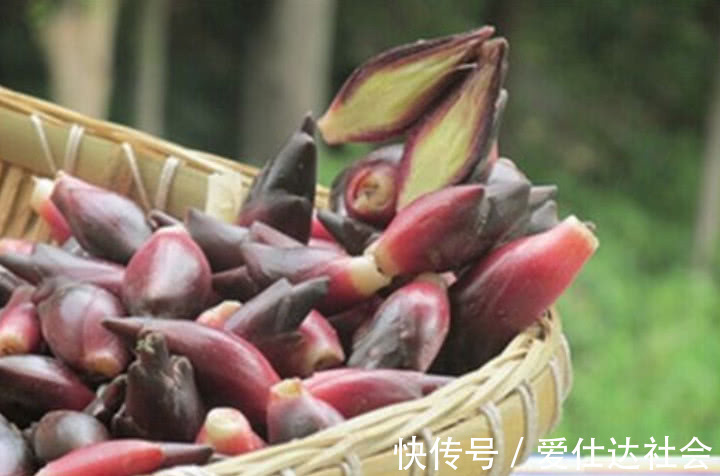 中国农村|长在厕所旁的野草，在中国农村泛滥成灾，在日本花高价还买不到