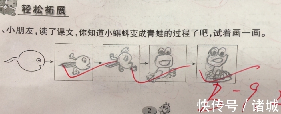 爪子|蝌蚪如何变身青蛙?孩子无穷想象力,图画全方位多角度“逆生长”