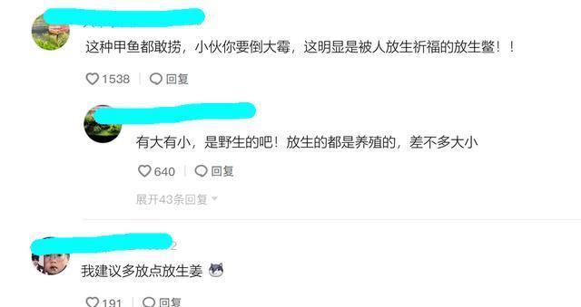 广州一河边大群甲鱼乱游，有人捞了许多，网友这种甲鱼都敢捞！