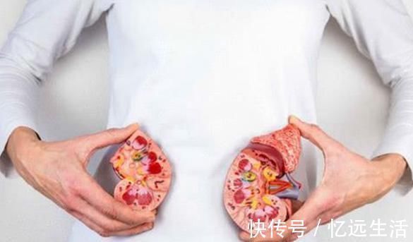 泡水|三斤枸杞抵不过此物一钱,日常泡水喝,祛肝火补肾气,健康长寿!