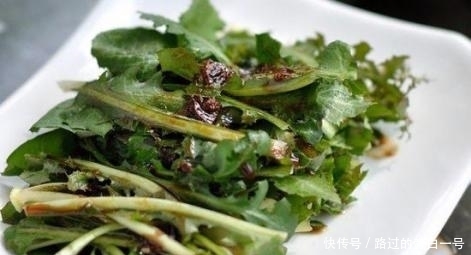 农村|农村常见的6大野菜排名，看看你吃过哪几种！