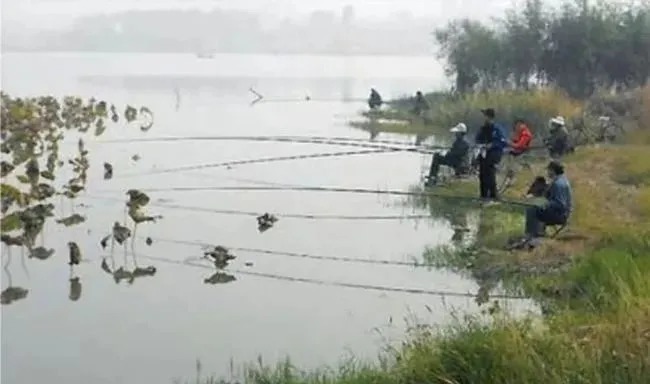 冬钓只会选深水？揭秘冬季最出鱼的钓位！