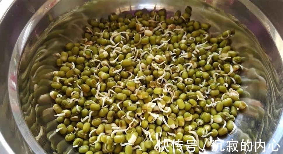 想吃豆芽不用买,教你自己在家种,4天一茬,随吃随种,特省事