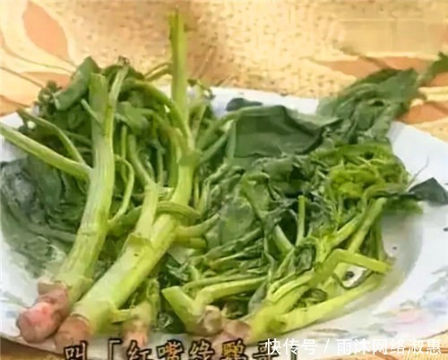 李白写了首流传千年的情诗,紫薇只敢照搬前面,全文情意满满