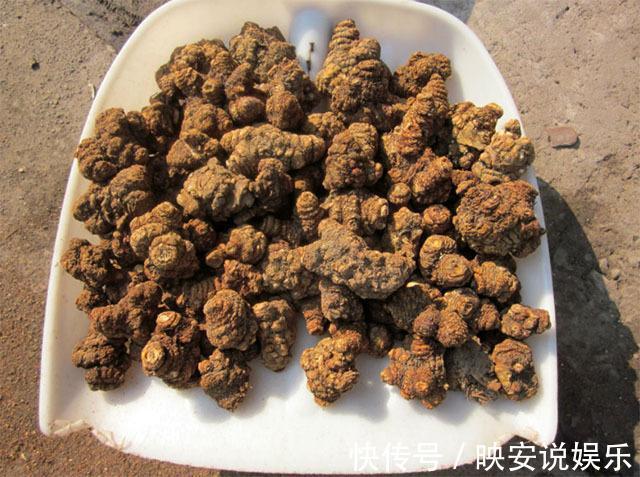 补血|月经走后，是排毒“好时机”，一天食一物，子宫越来越“干净”