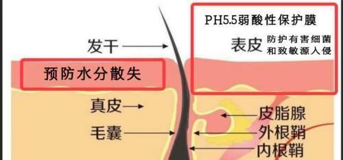 女子|“盐水”洗头到底有什么好处？一女子用盐水洗发10几天有什么变化