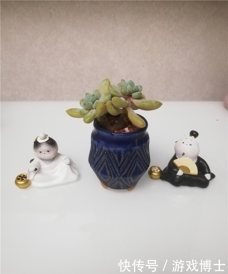 一肉一世界，一方一净土