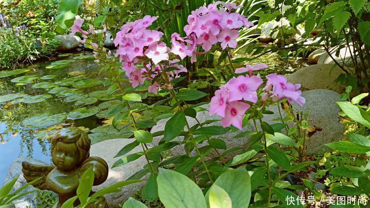 美好时光|花园改造:3年前买了栋带170㎡花园的房子,过上种花草的乡村生活