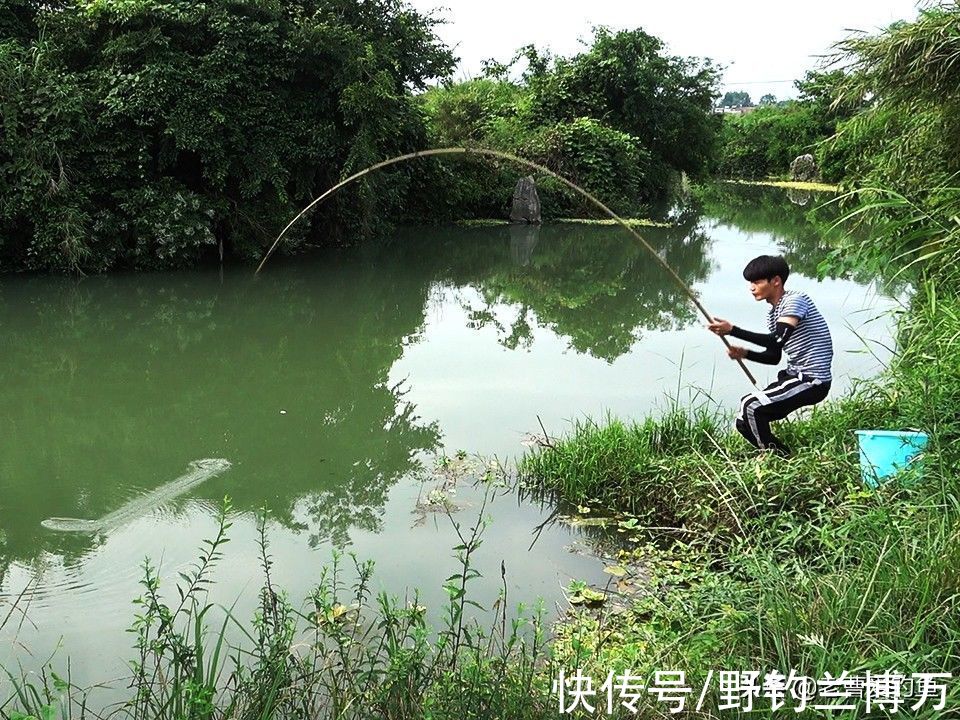 主线|钓友别不服，鱼之所以难钓，都是“惯得”