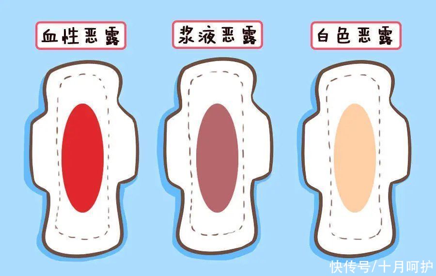 子宫|产后子宫恢复得好不好,看这4个指标