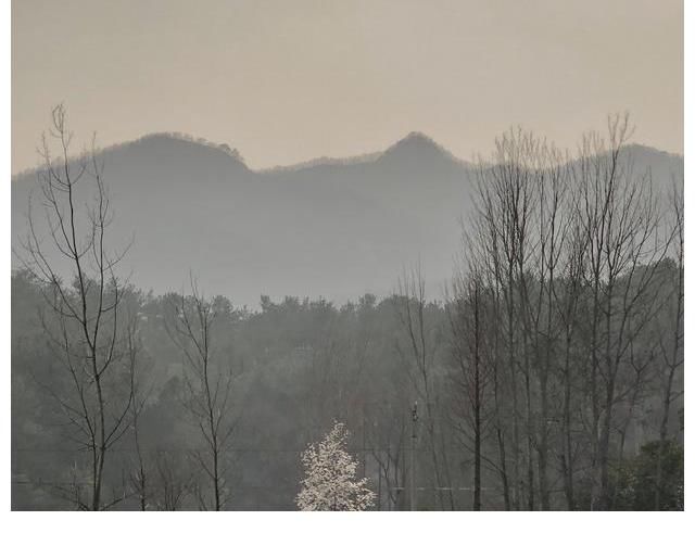 痴情|爱情里最痴情的几个星座，对爱情有追求有底线，能让痴情逆流成河