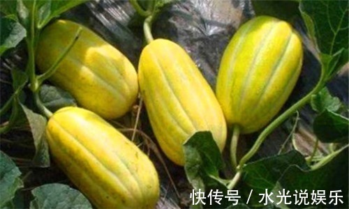 红心芭乐红心芭乐|想要长寿,就要排毒,常吃3种食物,排毒燃脂,清理肠胃