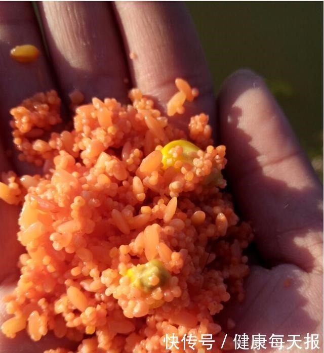你泡的酒米为啥不上鱼不搞定这些细节,大板鲫是不会咬钩的