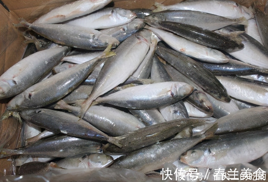 鲤鱼鲫鱼比不过，这3种海鱼才是“营养首选”！老板：会吃是行家