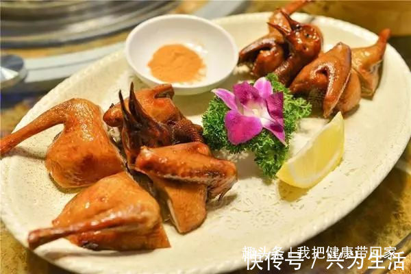 中国人|老人经常说的“一鸽顶十鸡”,鸽肉的营养价值,真有那么高