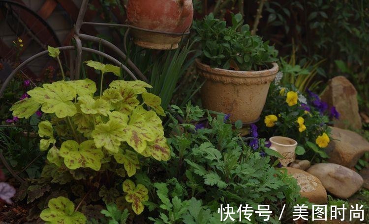 小院|荒废多年的80㎡小院,2年半时间打造成下沉式花园,太漂亮了!