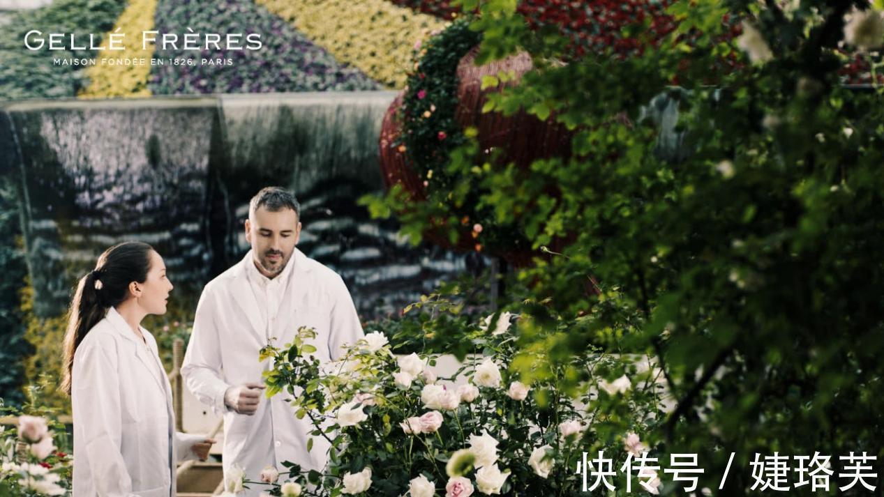 护肤 法国GF多款产品获行业及市场认可,认真贯彻植萃科学护肤理念