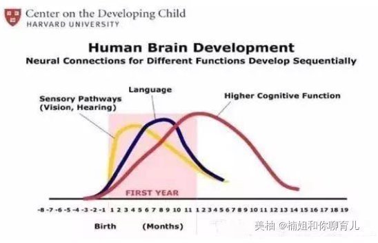 犯罪心理|李玫瑾坦言孩子聪不聪明,看他的“手”就知道,不用等长大