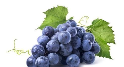 洋蔥|長壽的人,多有“3快2慢”的共同點,快來看看你有沒有?