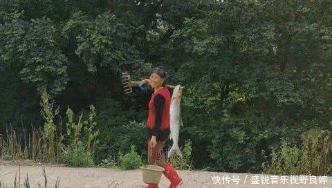 水老虎|江西一大娘一耙子打翻“水老虎”,附近钓鱼人:我想静静