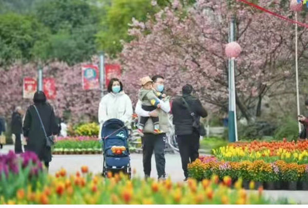 杜莎夫人蜡像馆|春节长假 南岸区旅游收入超七亿元